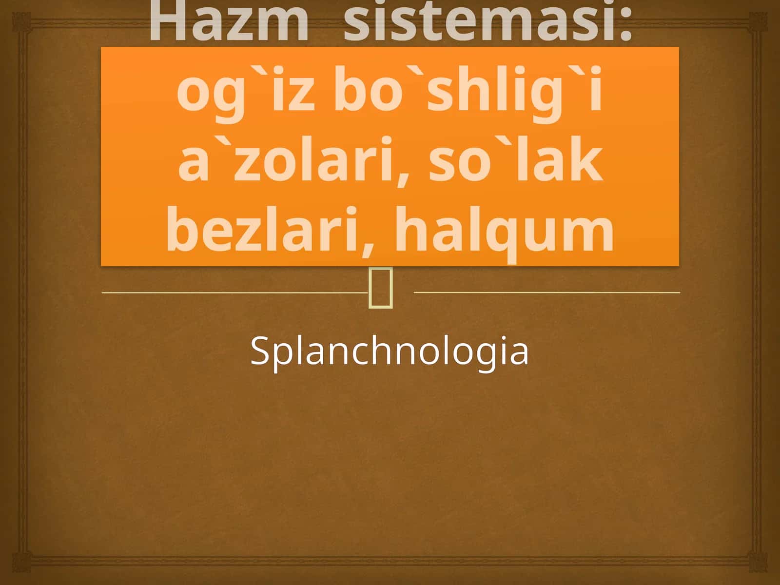 Hazm sistemasi: og`iz bo`shlig`i a`zolari, so`lak bezlari, halqum 1