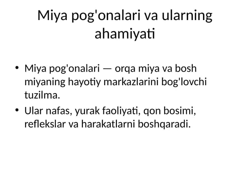 Miya pog'onalari va ularning ahamiyati 1