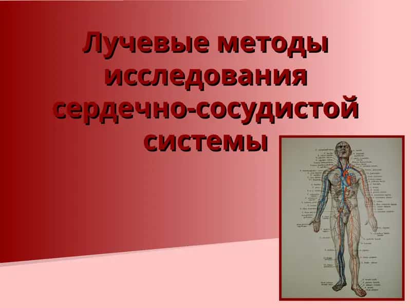 Лучевые методы исследования сердечно-сосудистой системы 1