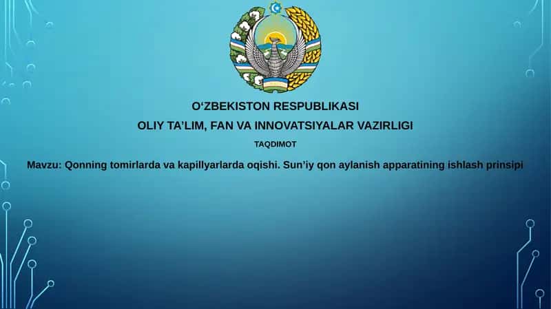 Sun'iy yurak 1