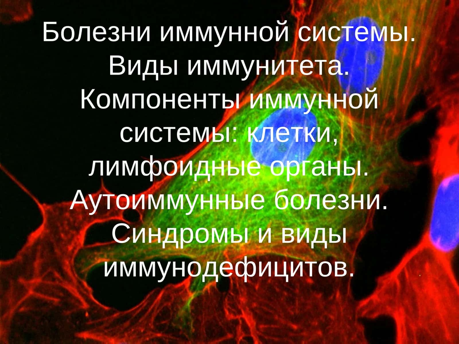 Болезни иммунной системы. Виды иммунитета. Компоненты иммунной системы 1