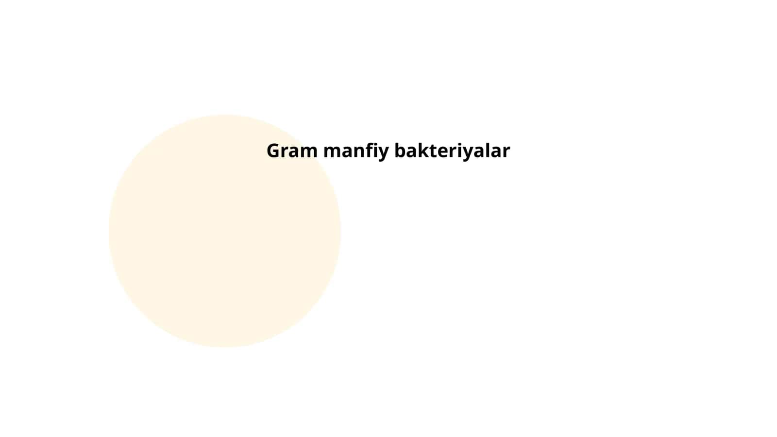 Gram manfiy bakteriyalar anatomiyasi 1