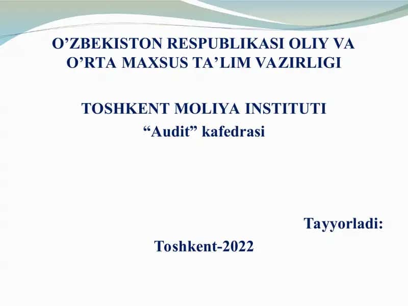 AUDITGA UMUMIY TAVSIF 1