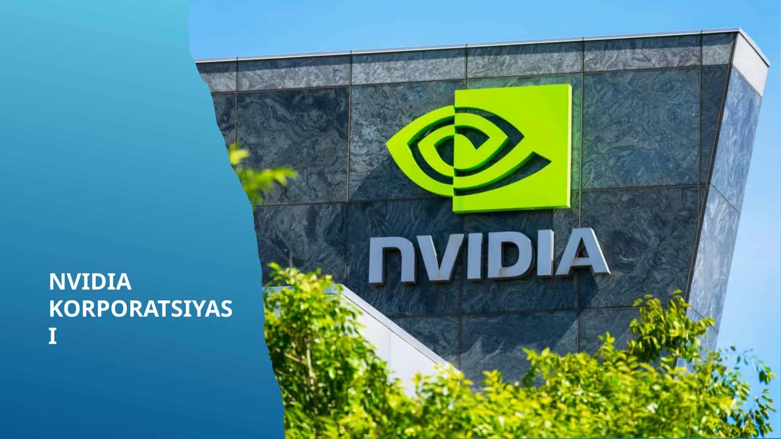 NVIDIA KORPORATSIYASI 1