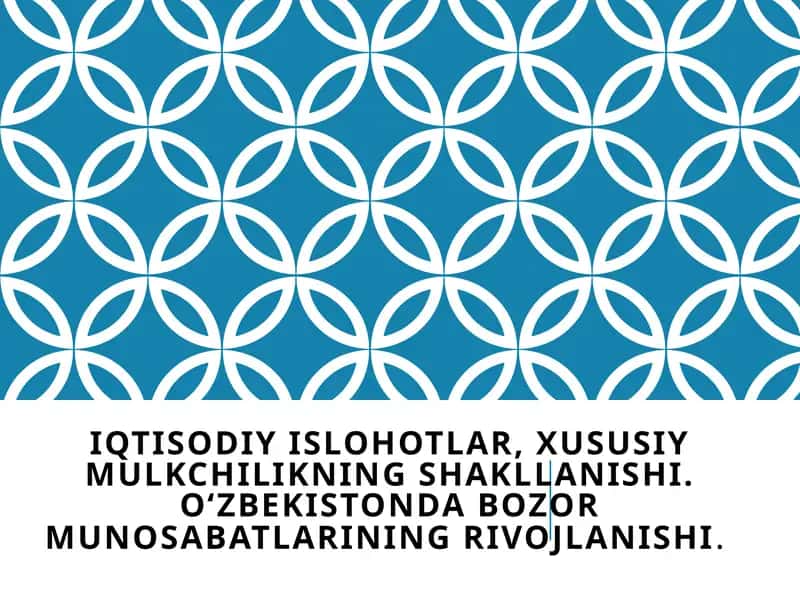 Iqtisodiy islohotlar, xususiy mulkchilikning shakllanishi. O‘zbekistonda bozor munosabatlarining rivojlanishi 1