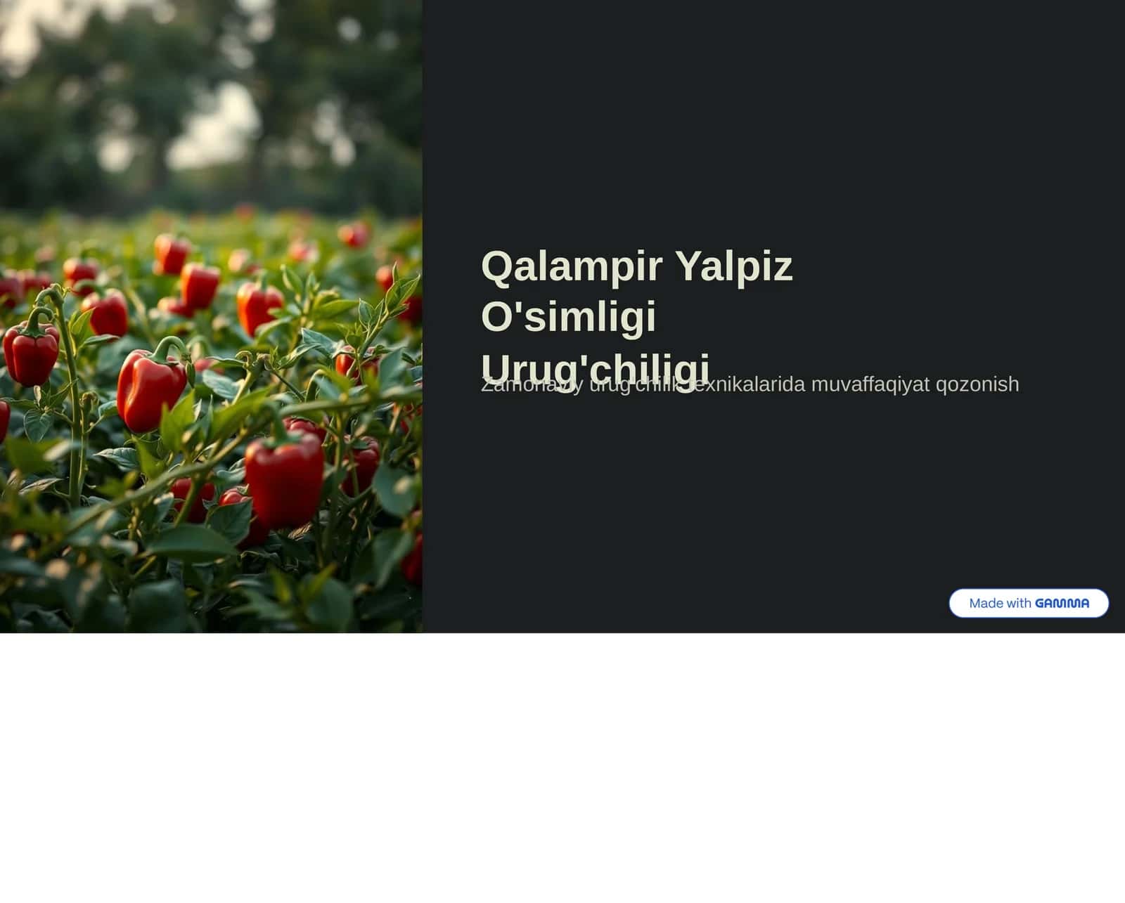 Qalampir Yalpiz O'simligi 1