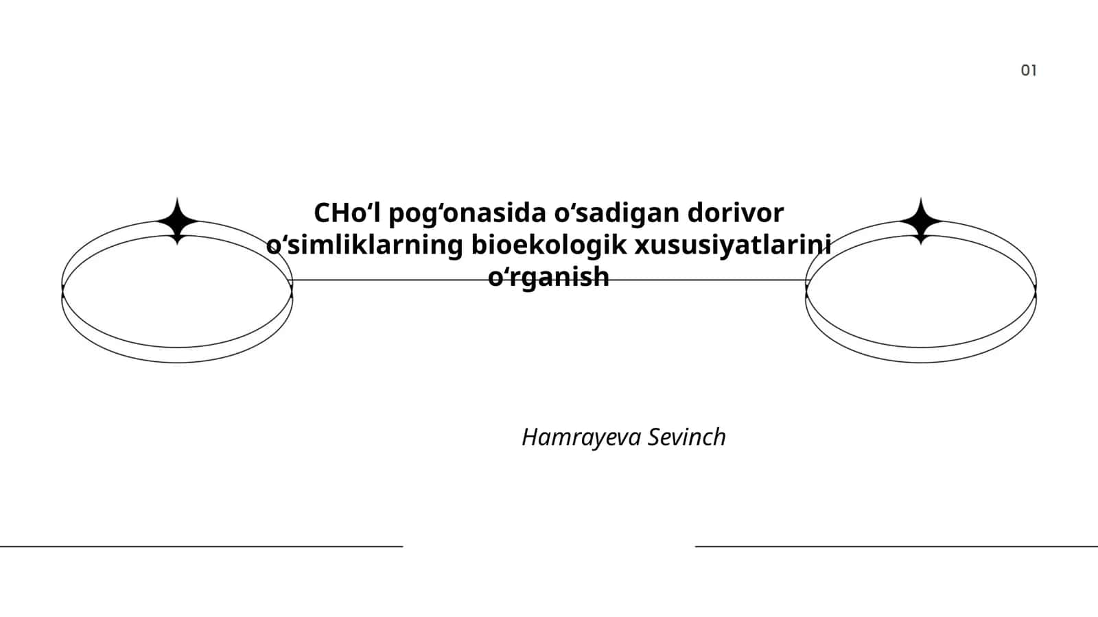 Cho‘l pog‘onasida o‘sadigan dorivor o‘simliklarning bioekologik xususiyatlarini o‘rganish 1