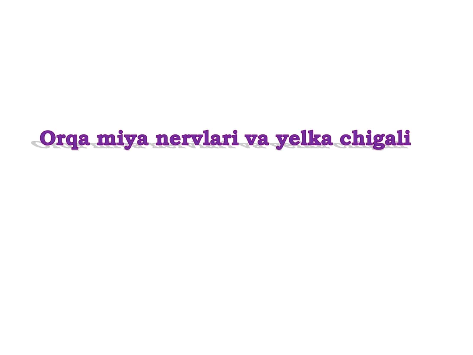 Orqa miya nervlari va yelka chigali 1