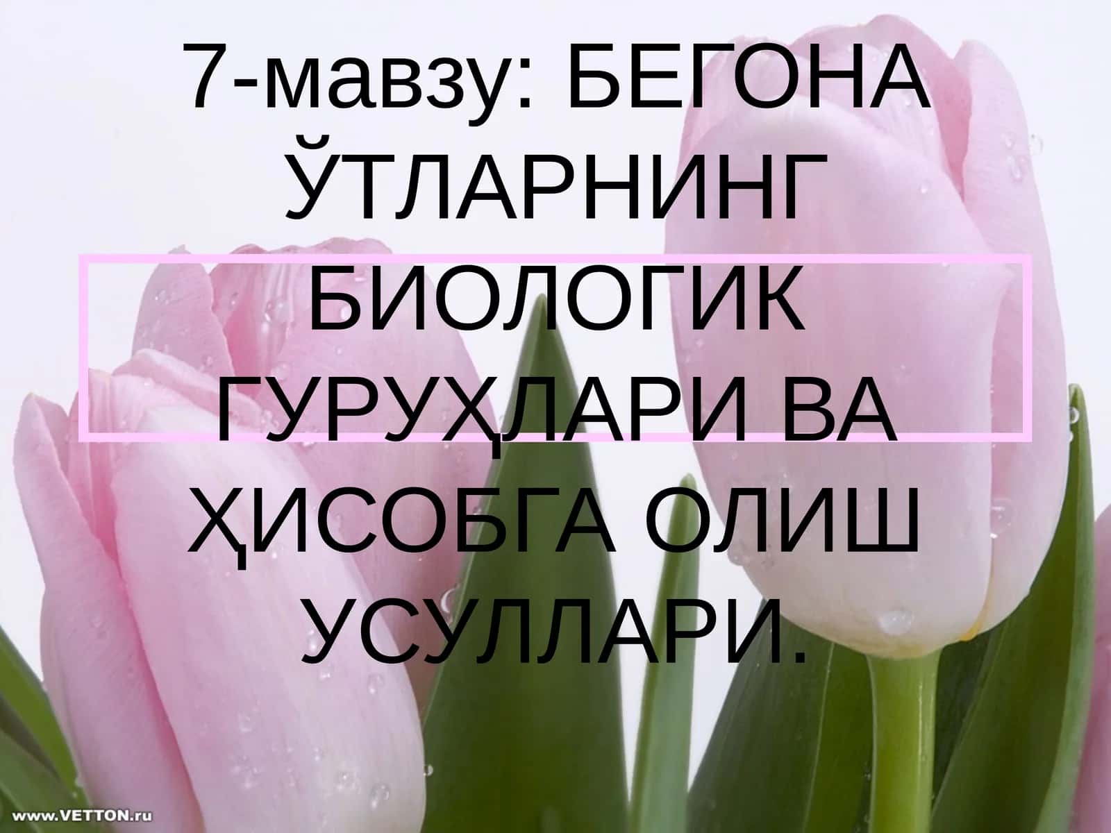 БЕГОНА ЎТЛАРНИНГ БИОЛОГИК ГУРУҲЛАРИ ВА ҲИСОБГА ОЛИШ УСУЛЛАРИ 1