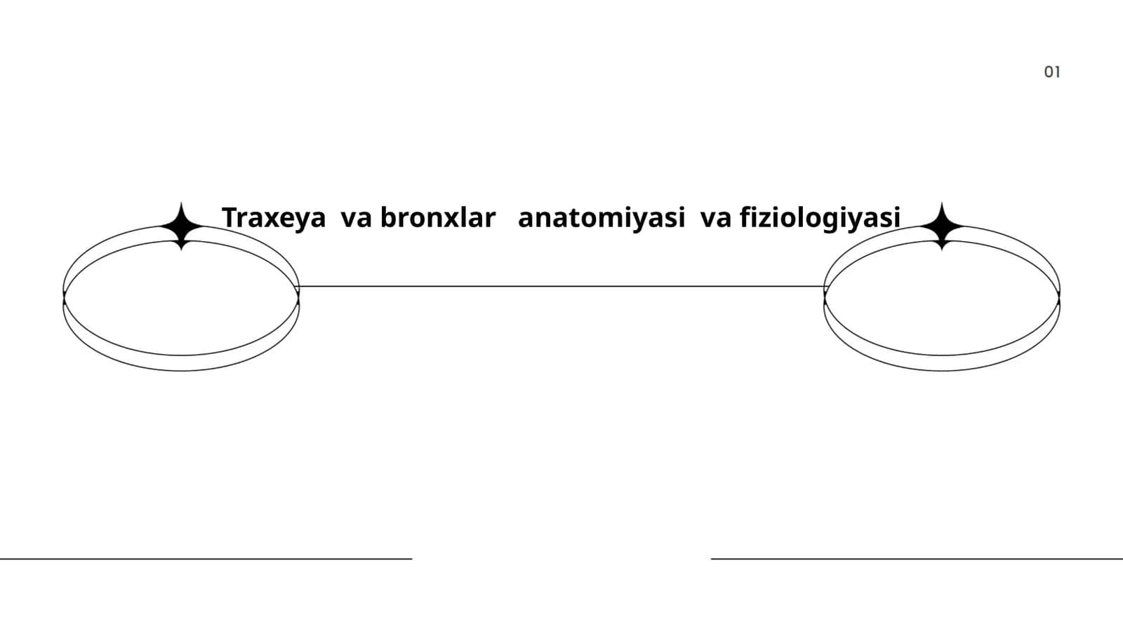 Traxeya va bronxlar anatomiyasi va fiziologiyasi 1