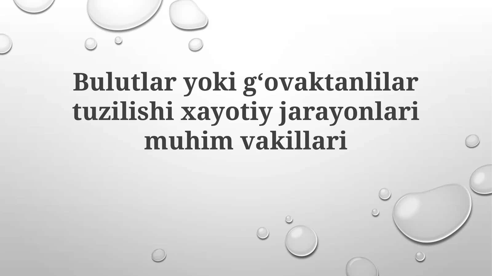 Bulutlar va gözenekli tuzilmalarning global ekosistemlardagi o'zaro ta'siri 1