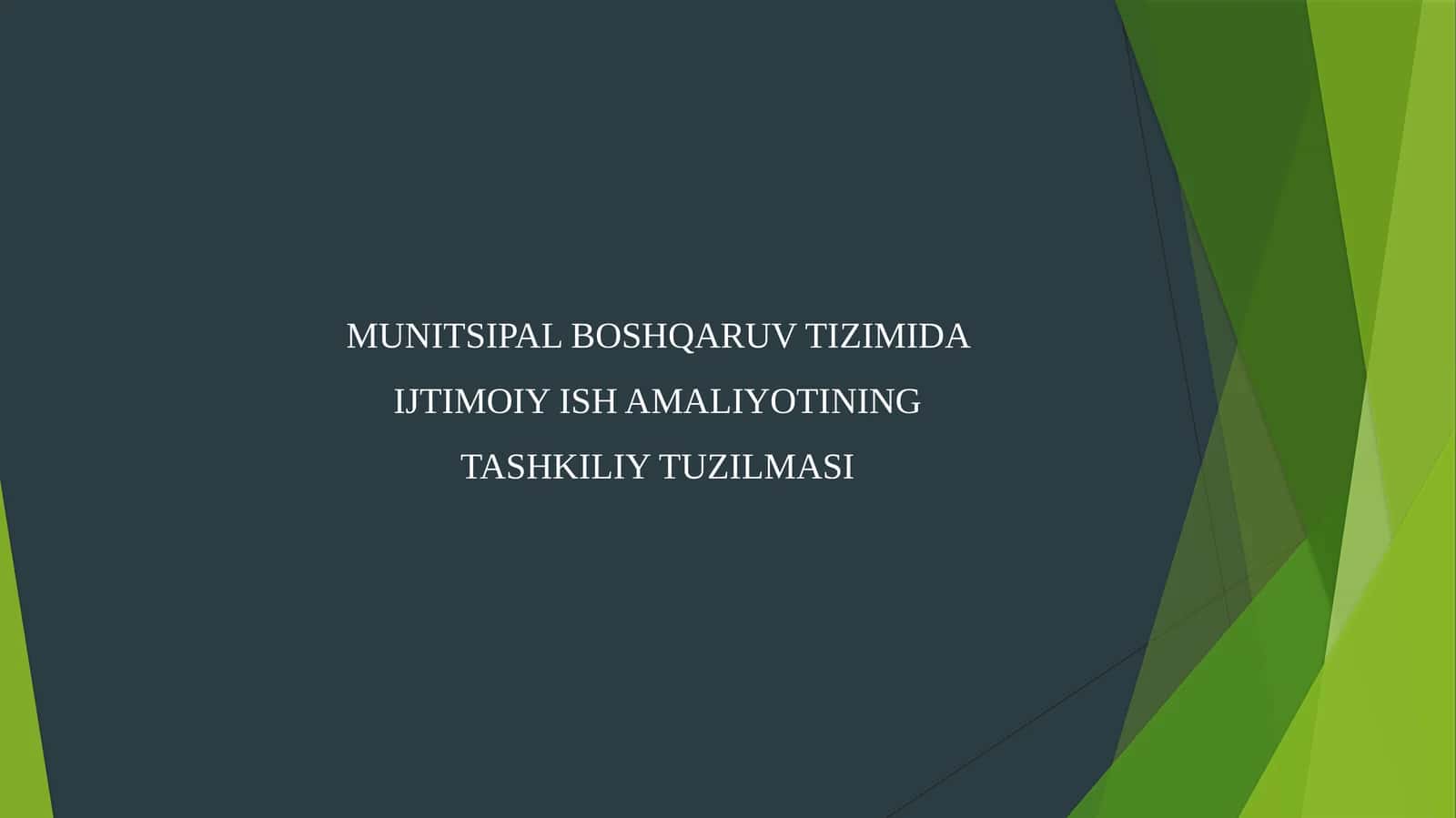 Munitsipal boshqaruv tizimida ijtimoiy ish amaliyotining tashkiliy tuzilmasi 1