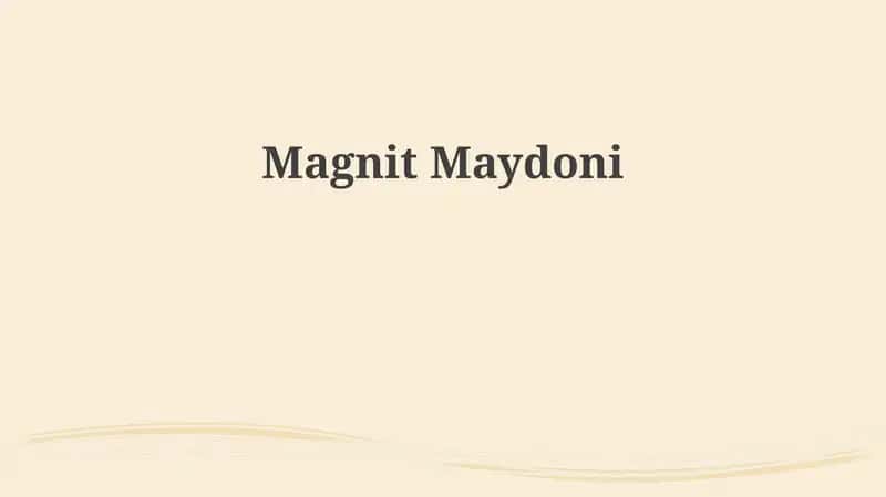 MagnitMaydoni 1