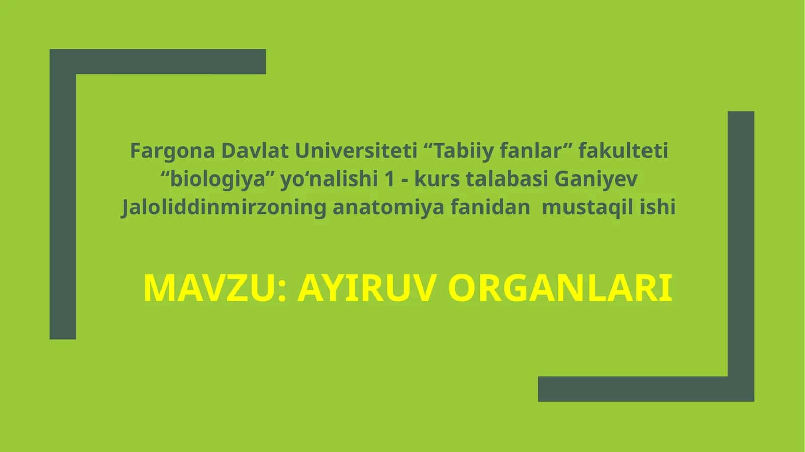 Ayiruvorganlari 1