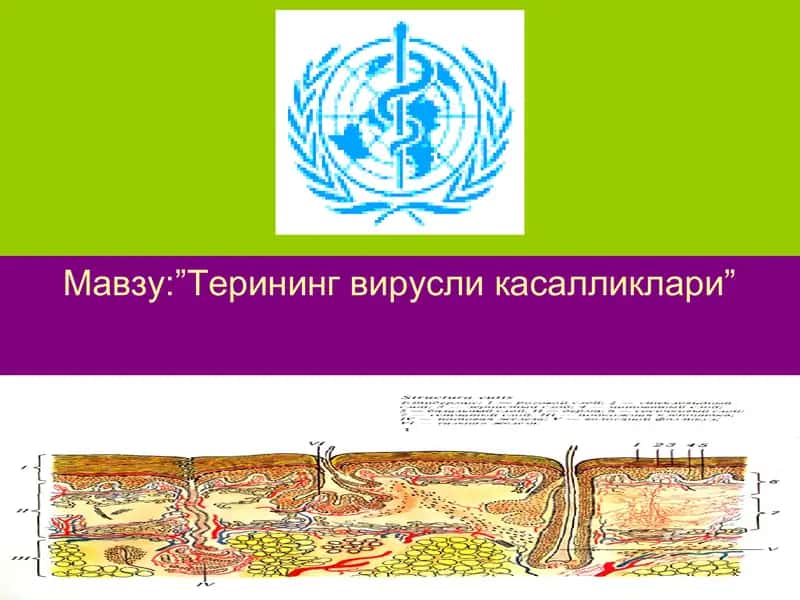 Терининг вирусли касалликлари 1