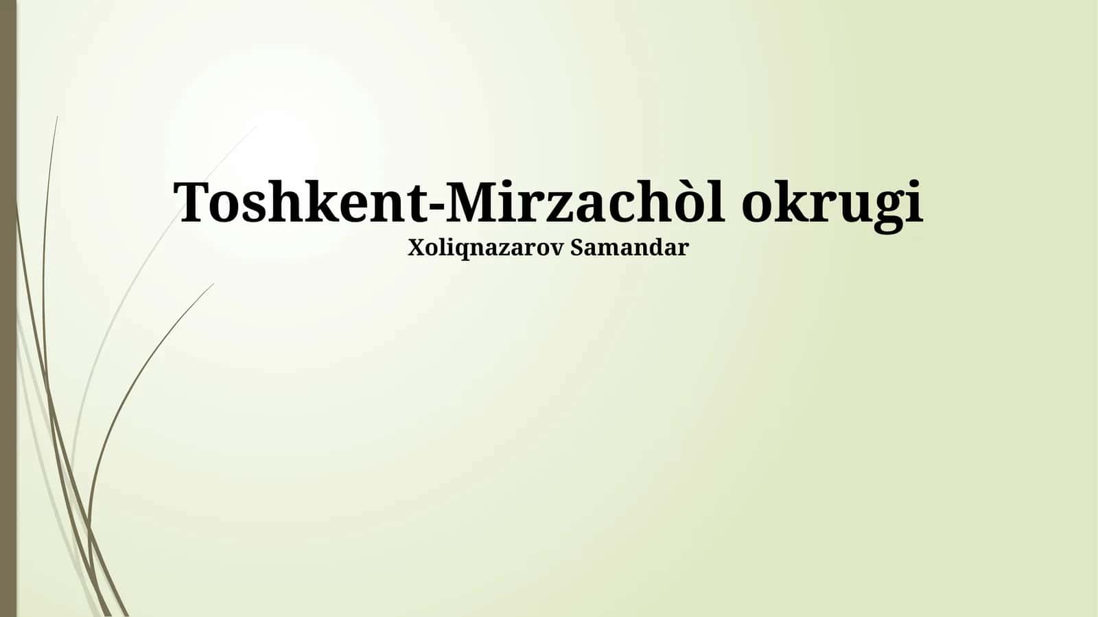 Toshkent-Mirzachòl okrugi 1