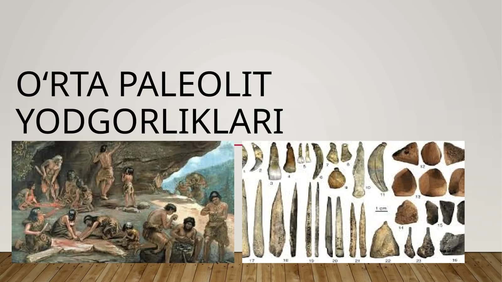 Oʻrta paleolit yodgorliklari 1
