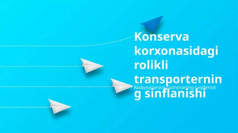 Rolikli Konveyerlar 1
