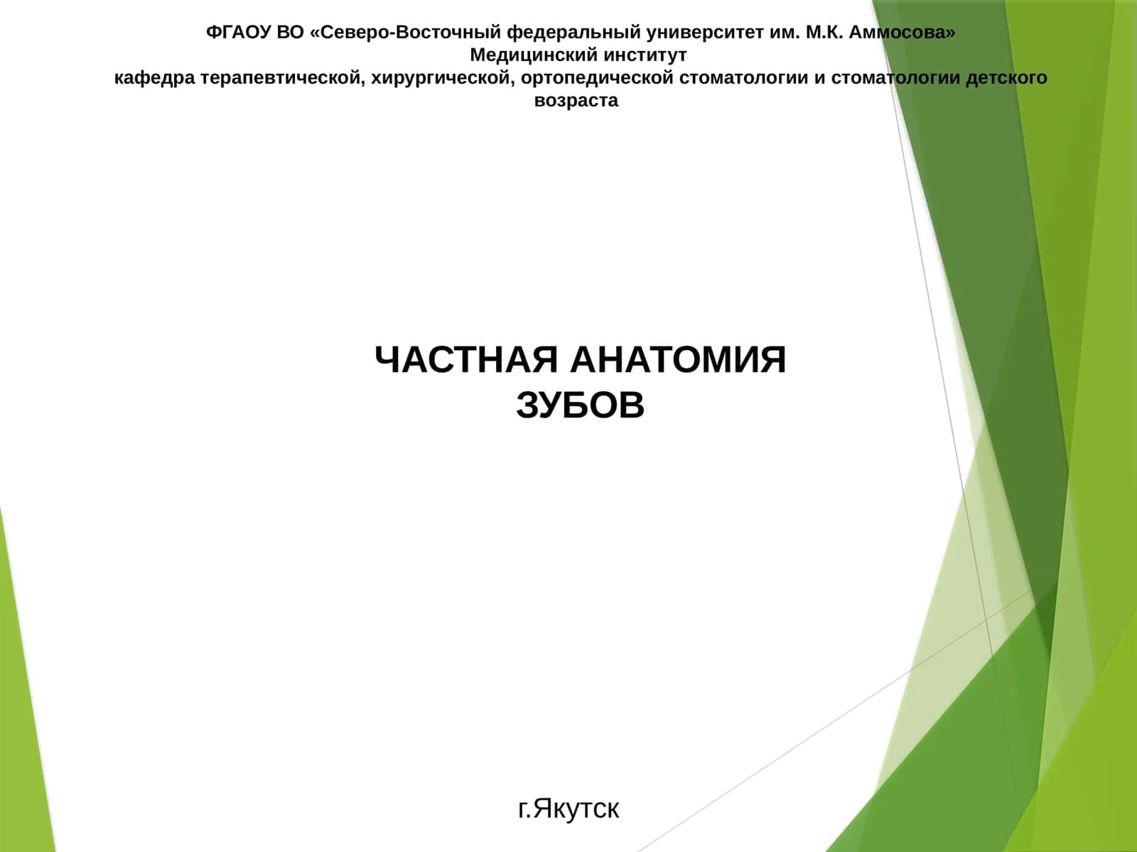 ЧАСТНАЯ АНАТОМИЯ ЗУБОВ 1