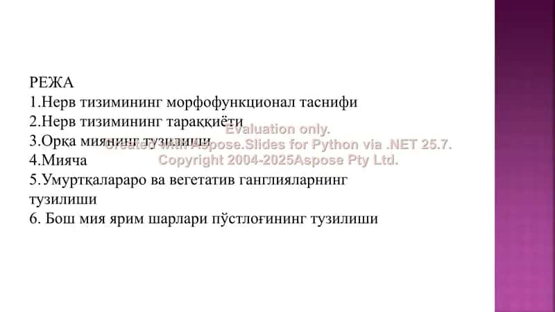 Нерв тизимининг морфофункционал таснифи 1