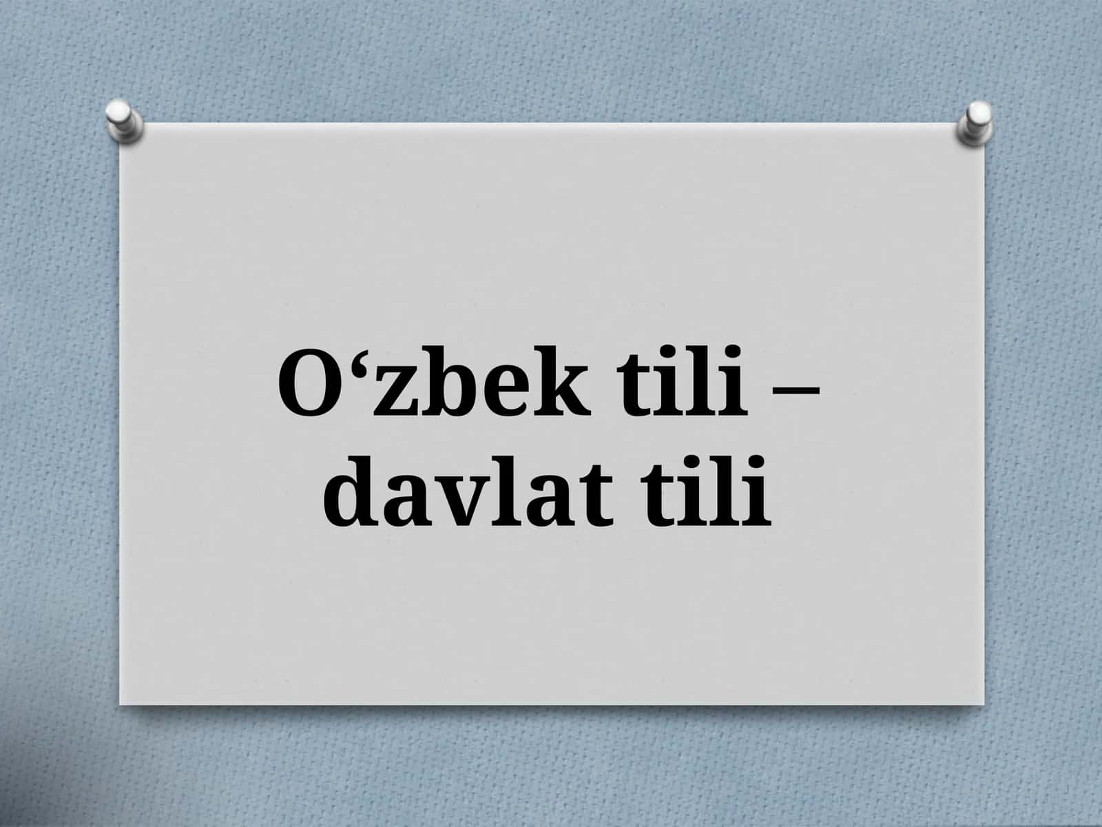 Onatilim 1