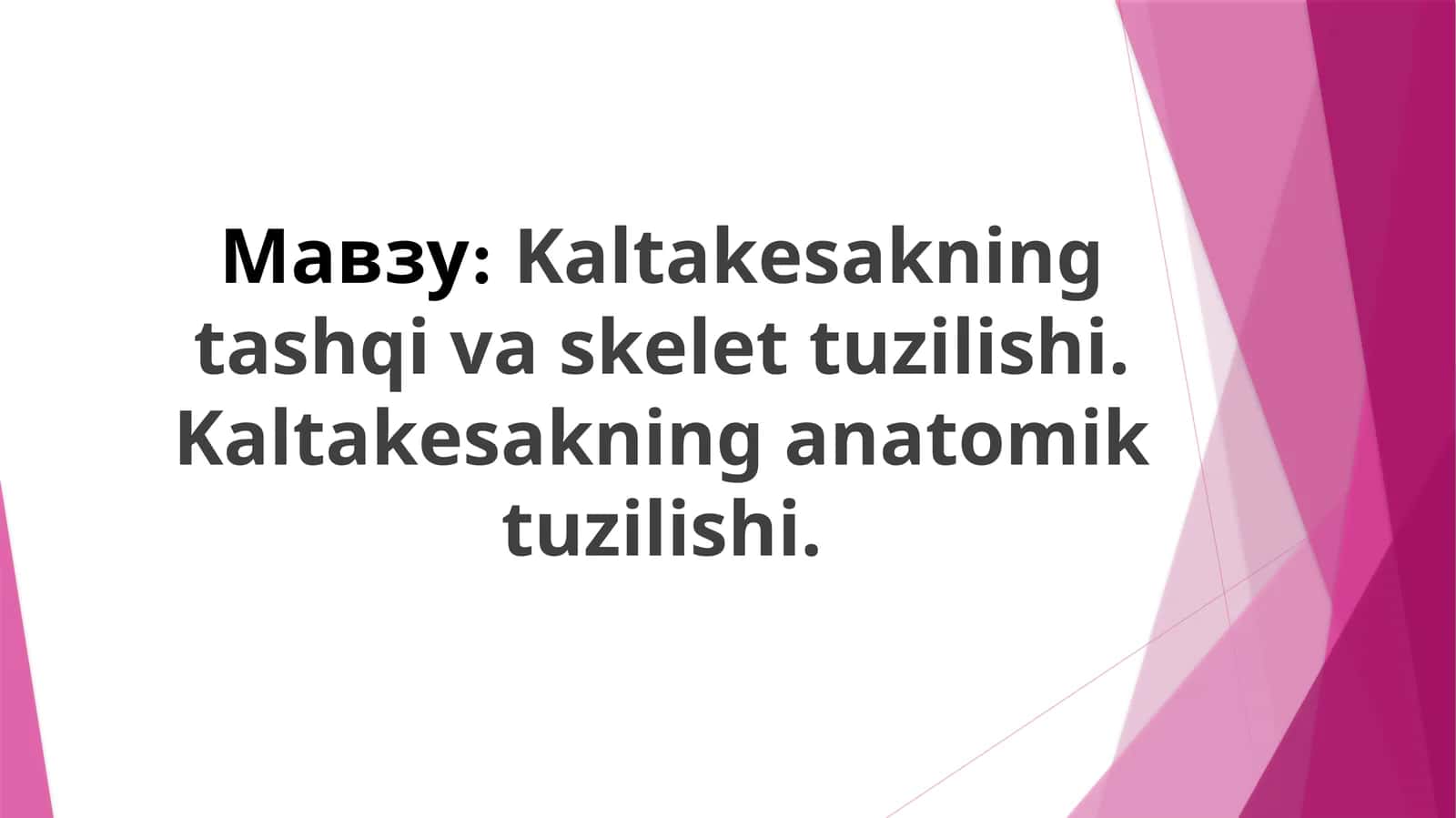 Kaltakesakning tashqi va skelet tuzilishi. Kaltakesakning anatomik tuzilishi 1