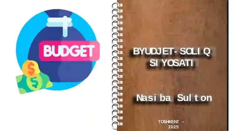 BYUDJET-SOLIQ SIYOSATI