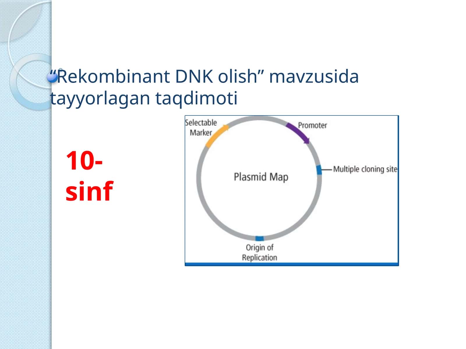 Rekombinant DNK olishi 1