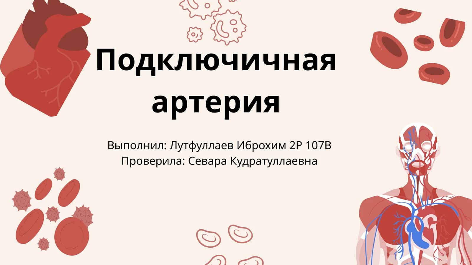 Подключичная артерия 1