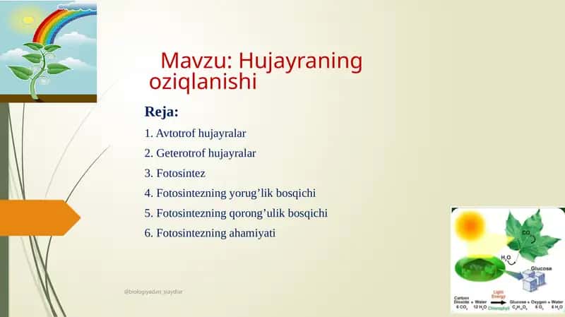 Hujayraning oziqlanishi 1