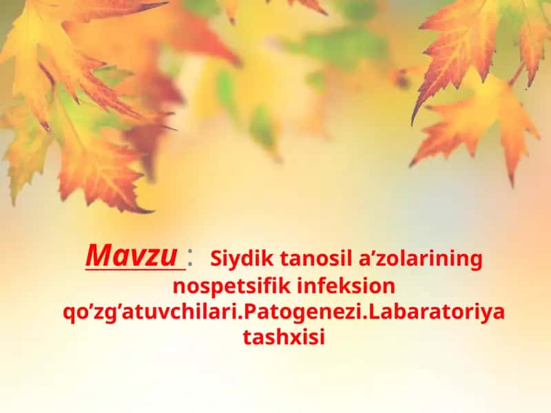 Siydik tanosil a’zolarining nospetsifik infeksion qo’zg’atuvchilari. 1