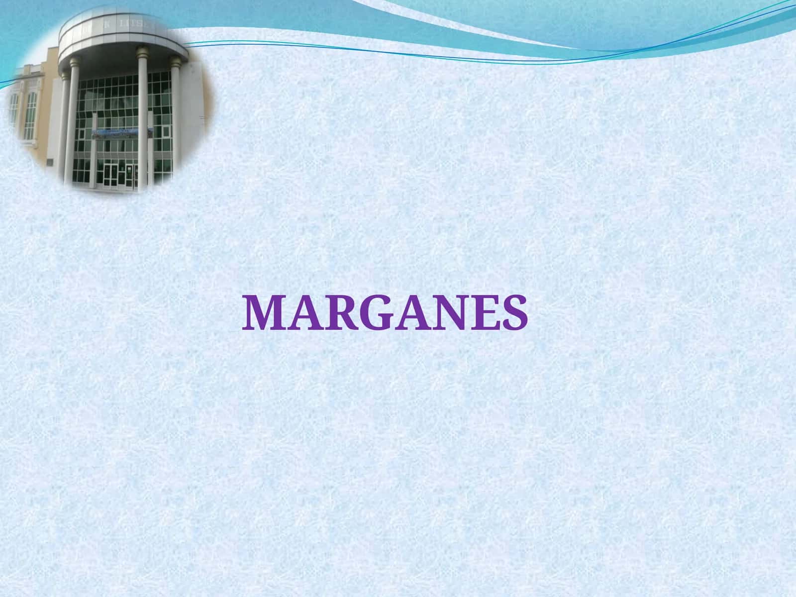 Marganets (Mn) ochiq dars 1