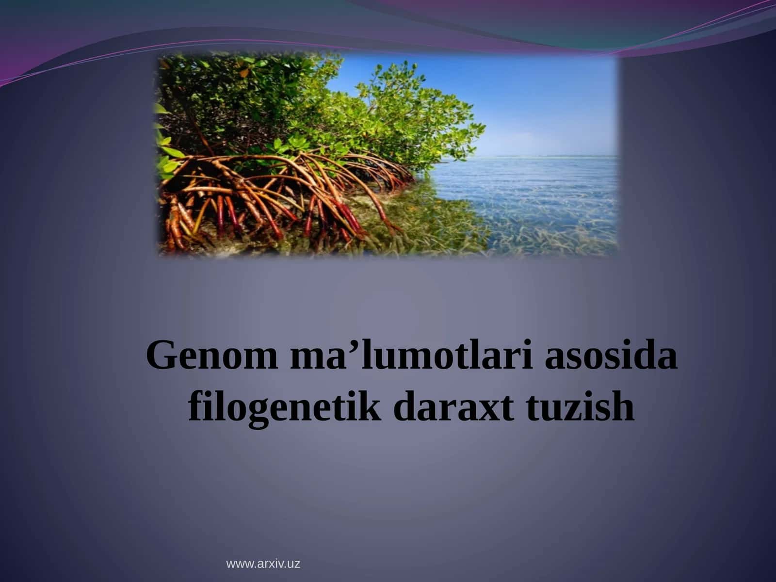 Genomma’lumotlari asosida filogenetik daraxt tuzish 1