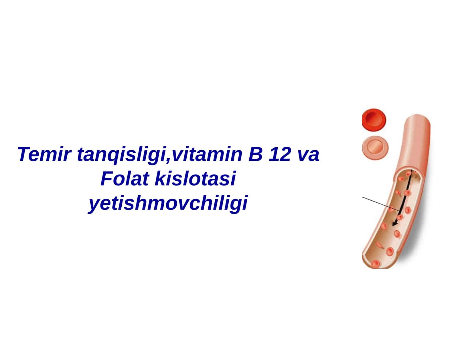 Temir tanqisligi, vitamin B 12 va Folat kislotasiyetishmovchiligi 1