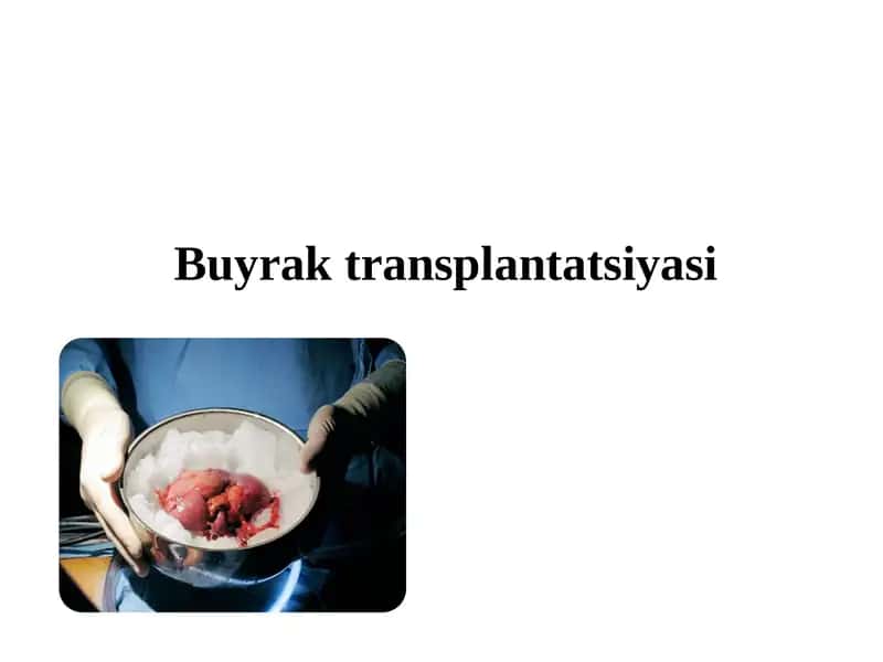 Buyrak transplantatsiyasi 1