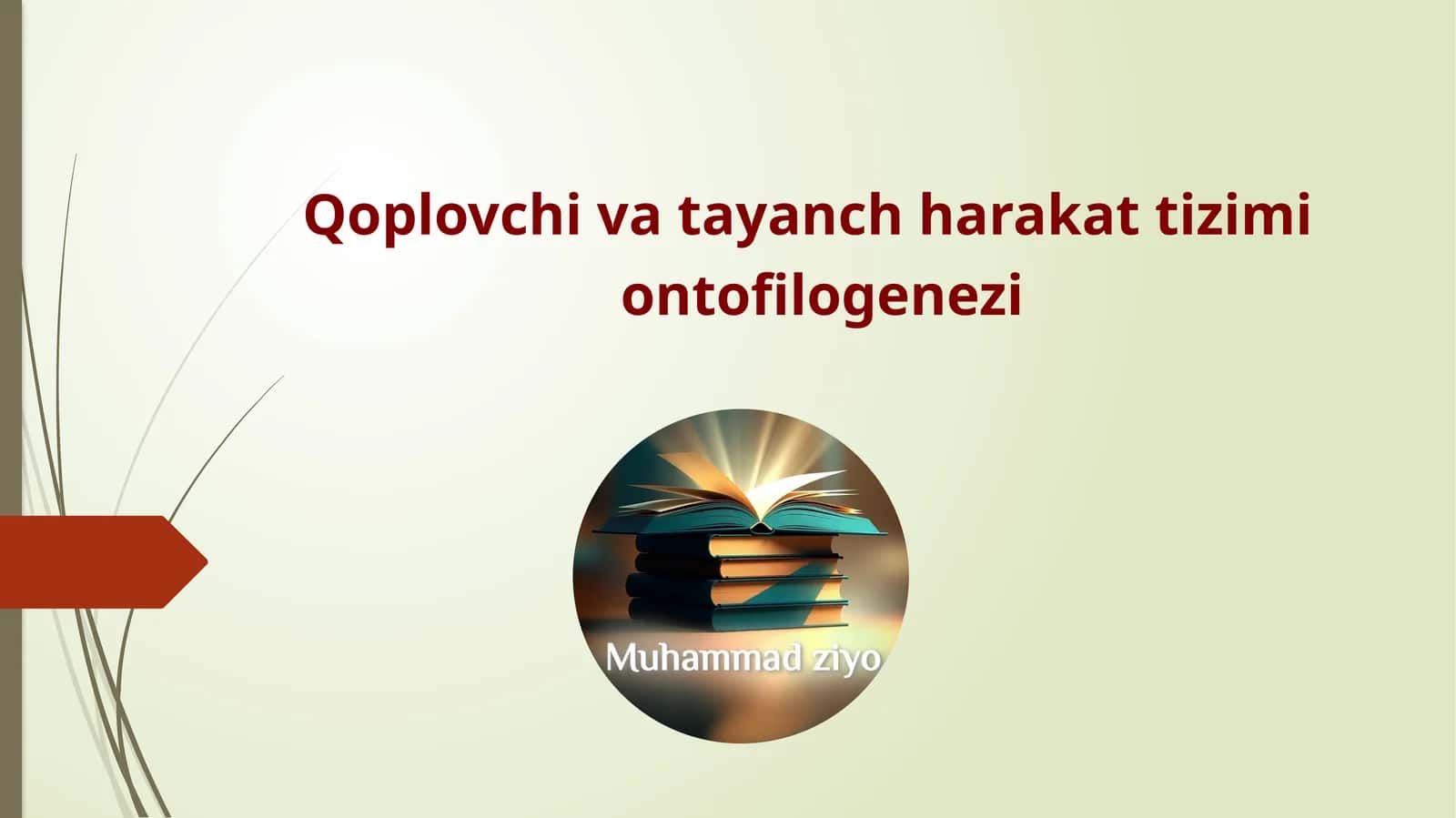 Qoplovchi va tayanch harakat tizimi ontofilogenezi 1