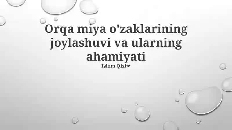 Orqa miya o'zaklarining ahamiyati