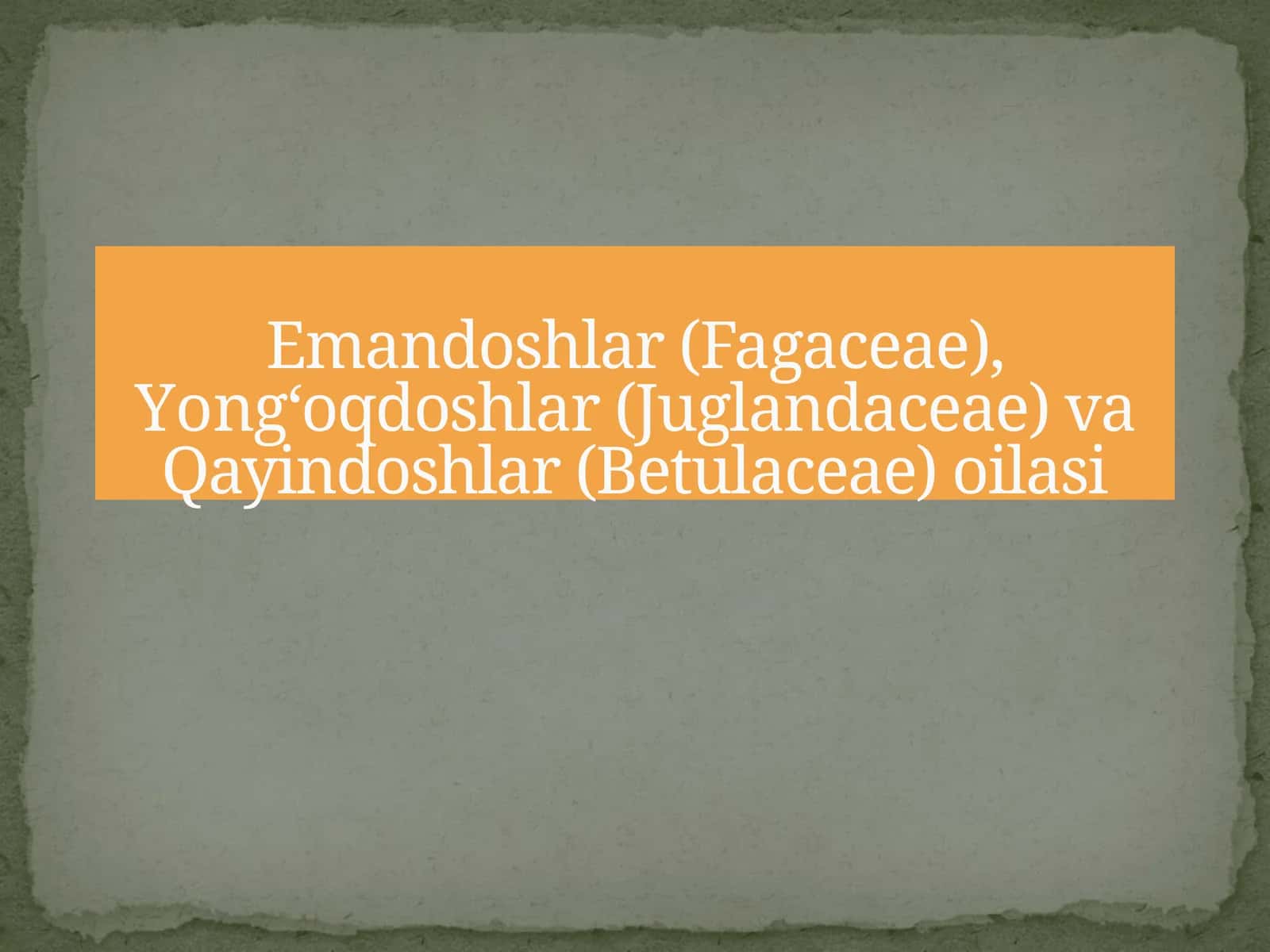 Emandoshlar (Fagaceae), Yong‘oqdoshlar (Juglandaceae) va Qayindoshlar (Betulaceae) oilasi 1