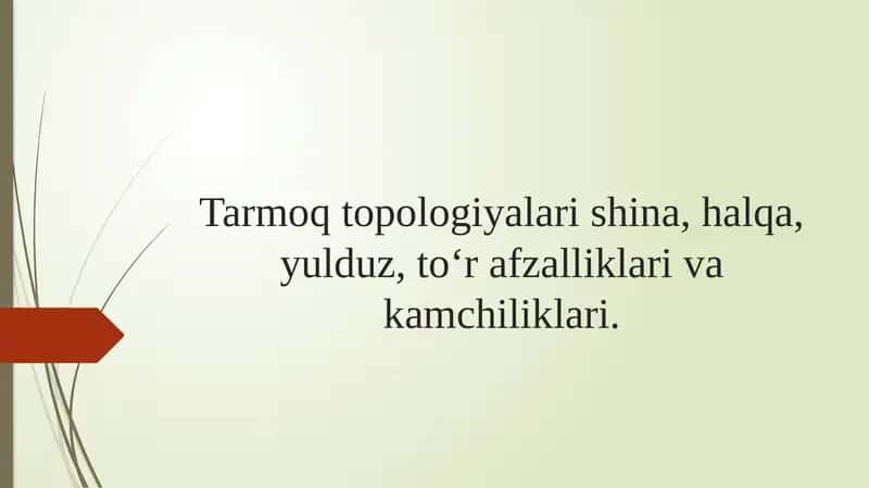 Tarmoq topologiyalari shina, halqa, yulduz, to‘r afzalliklari va kamchiliklari. 1