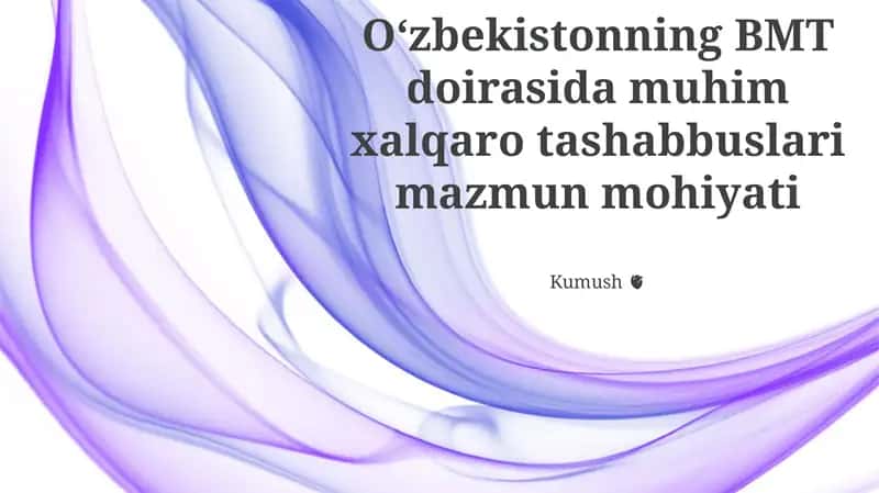 O'zbekistonning BMT doirasida muhim xalqaro tashabbuslari mazmun mohiyati 1