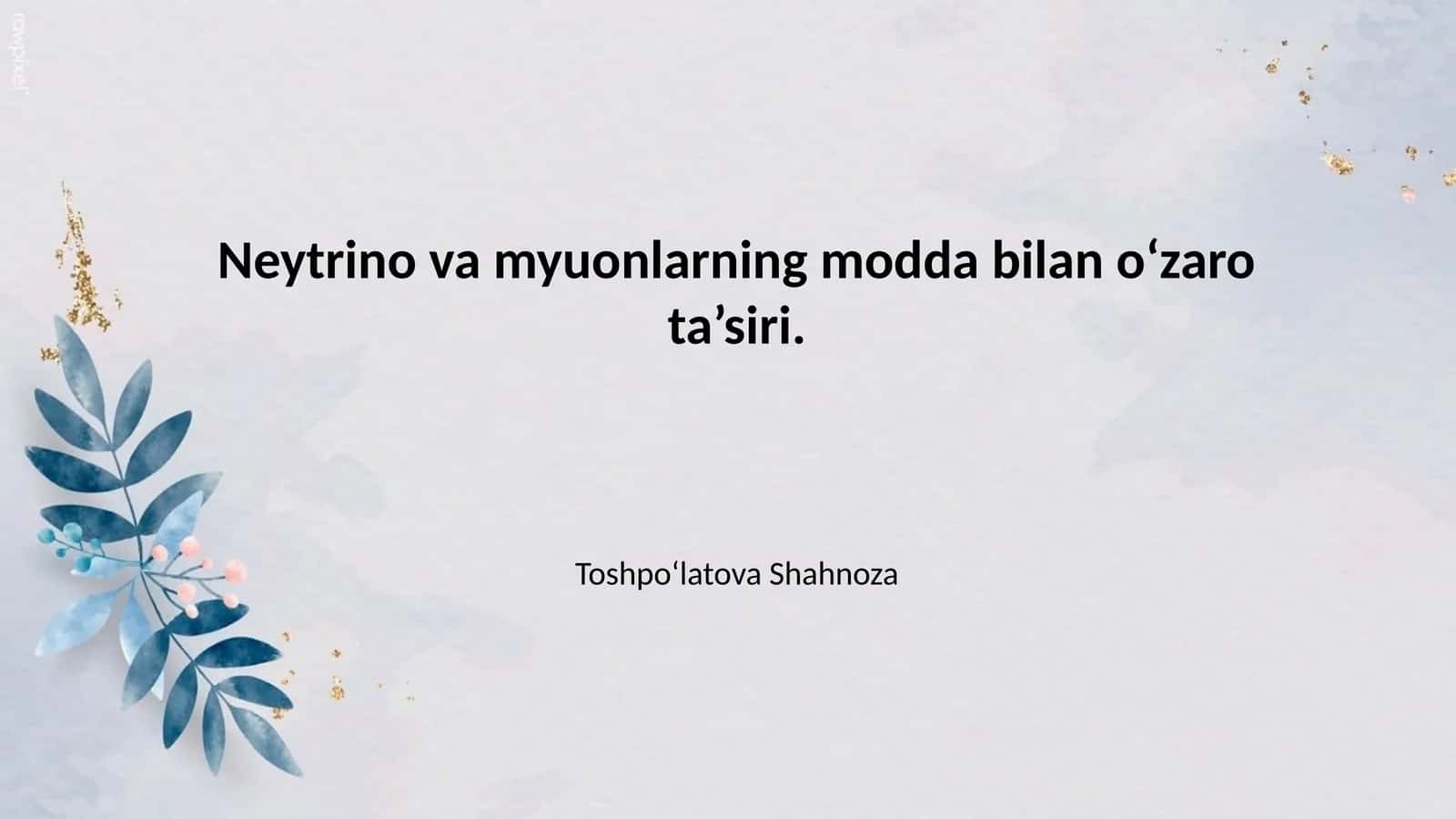 Neytrino va Myuonlarning Fizik Tabiatini Tushunishning Dolzarbligi 1