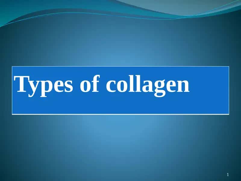 Types of collagen 1