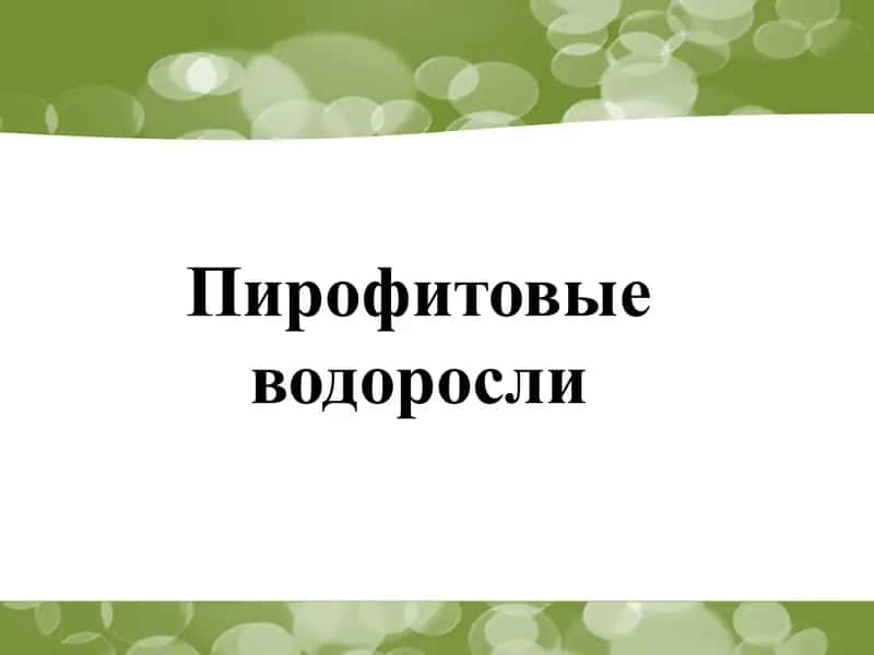 Пирофитовые водоросли 1