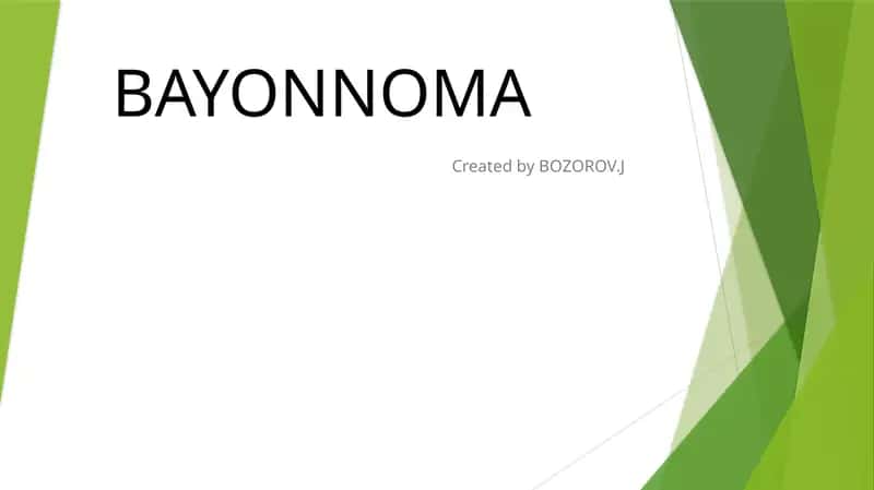Bayonnoma haqida 1
