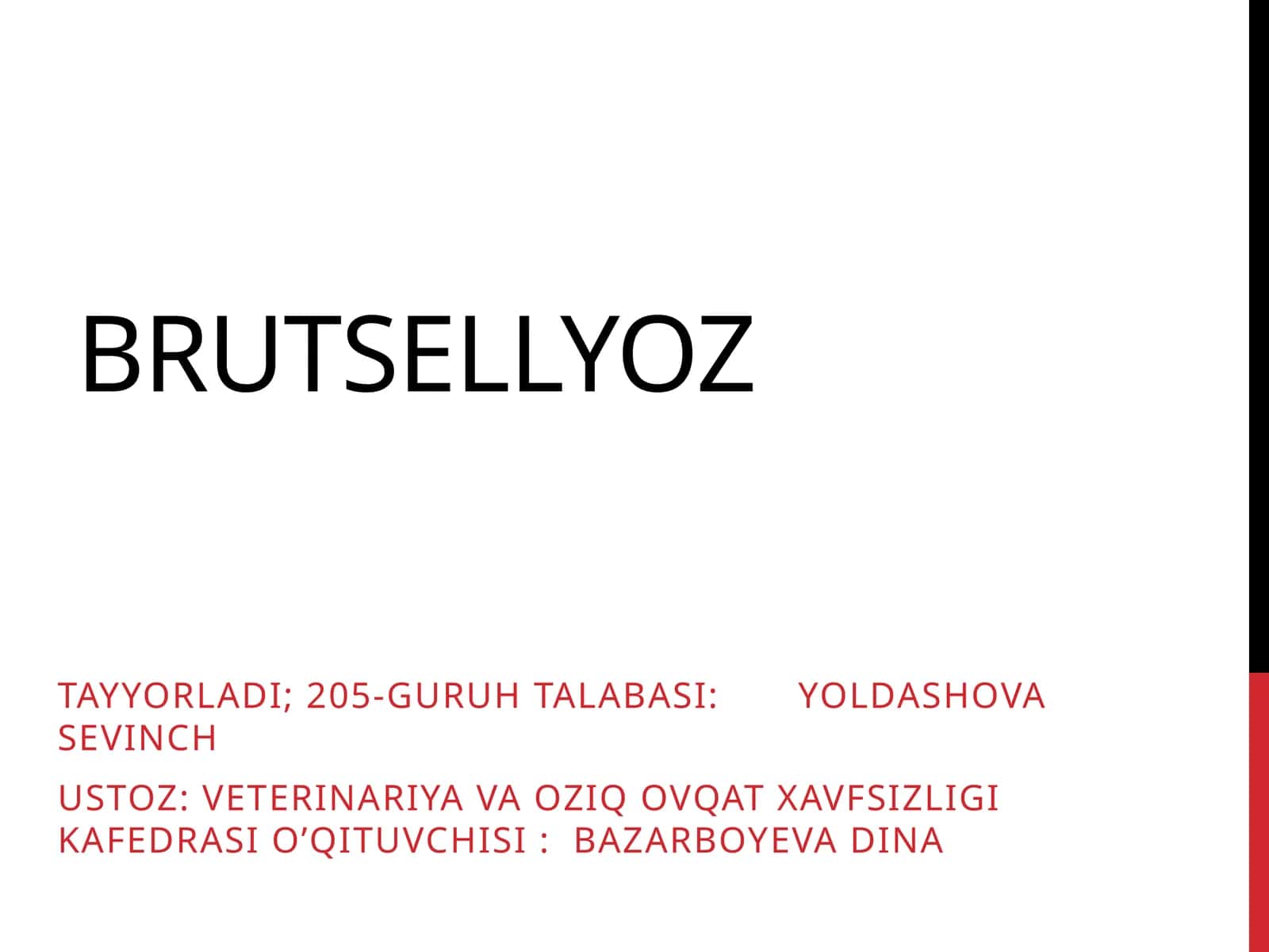 Brutsellyoz 1