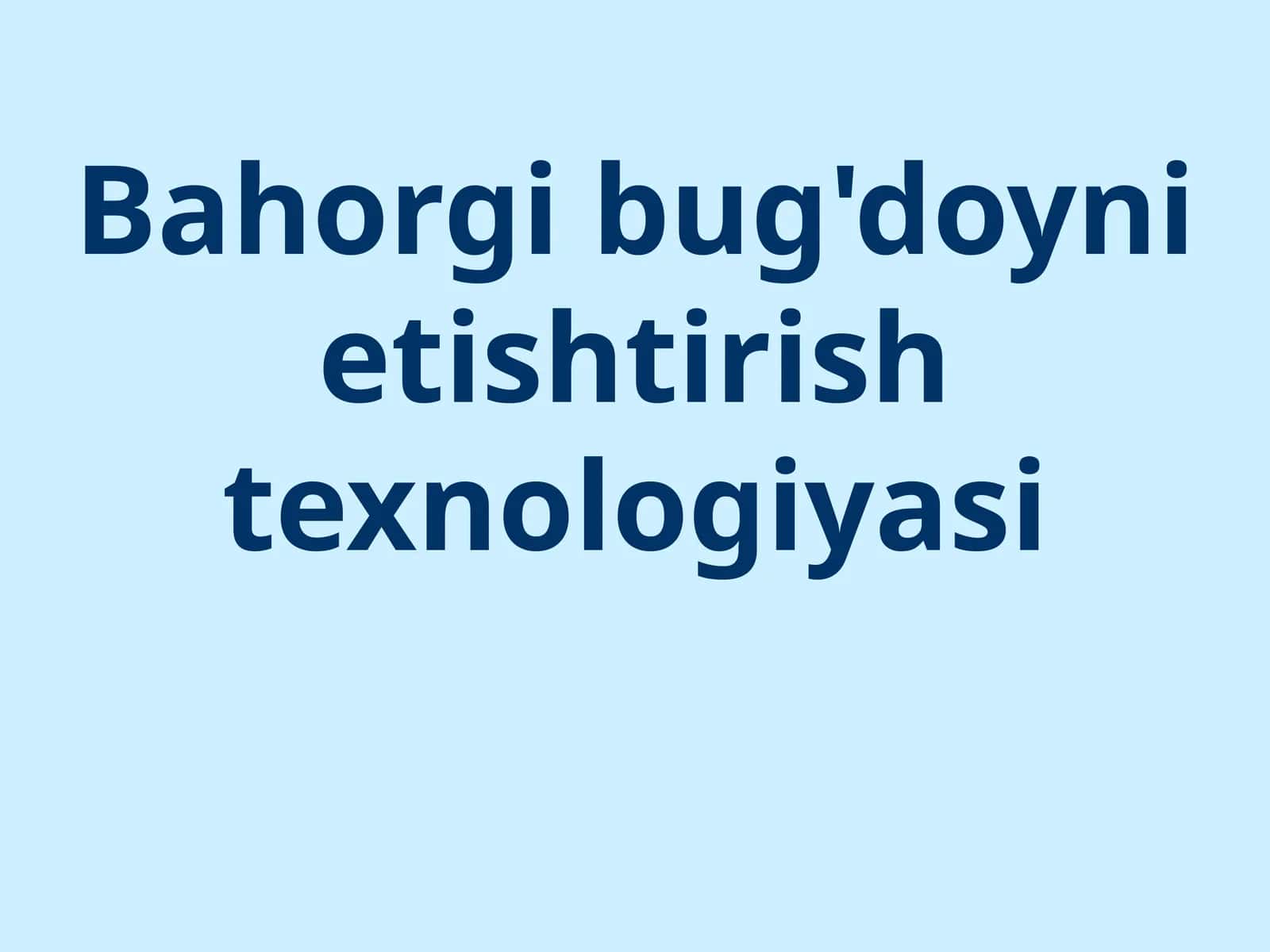 Bahorgi bug'doyni etishtirish texnologiyasi 1