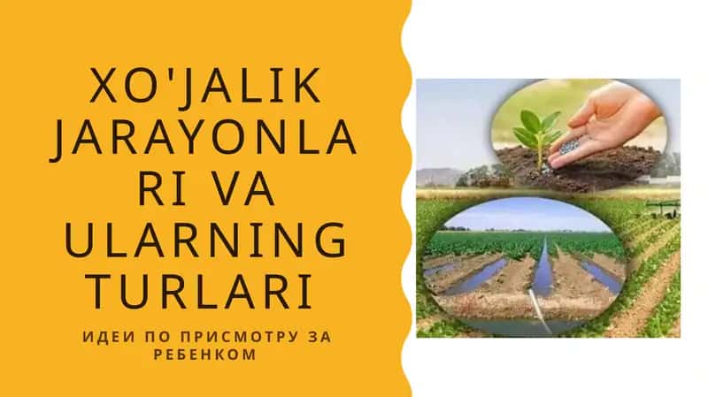 Xo'jalik jarayonlari va ularning turlari 1