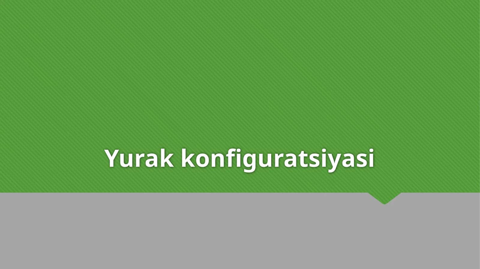 Yurak konfiguratsiyasi 1