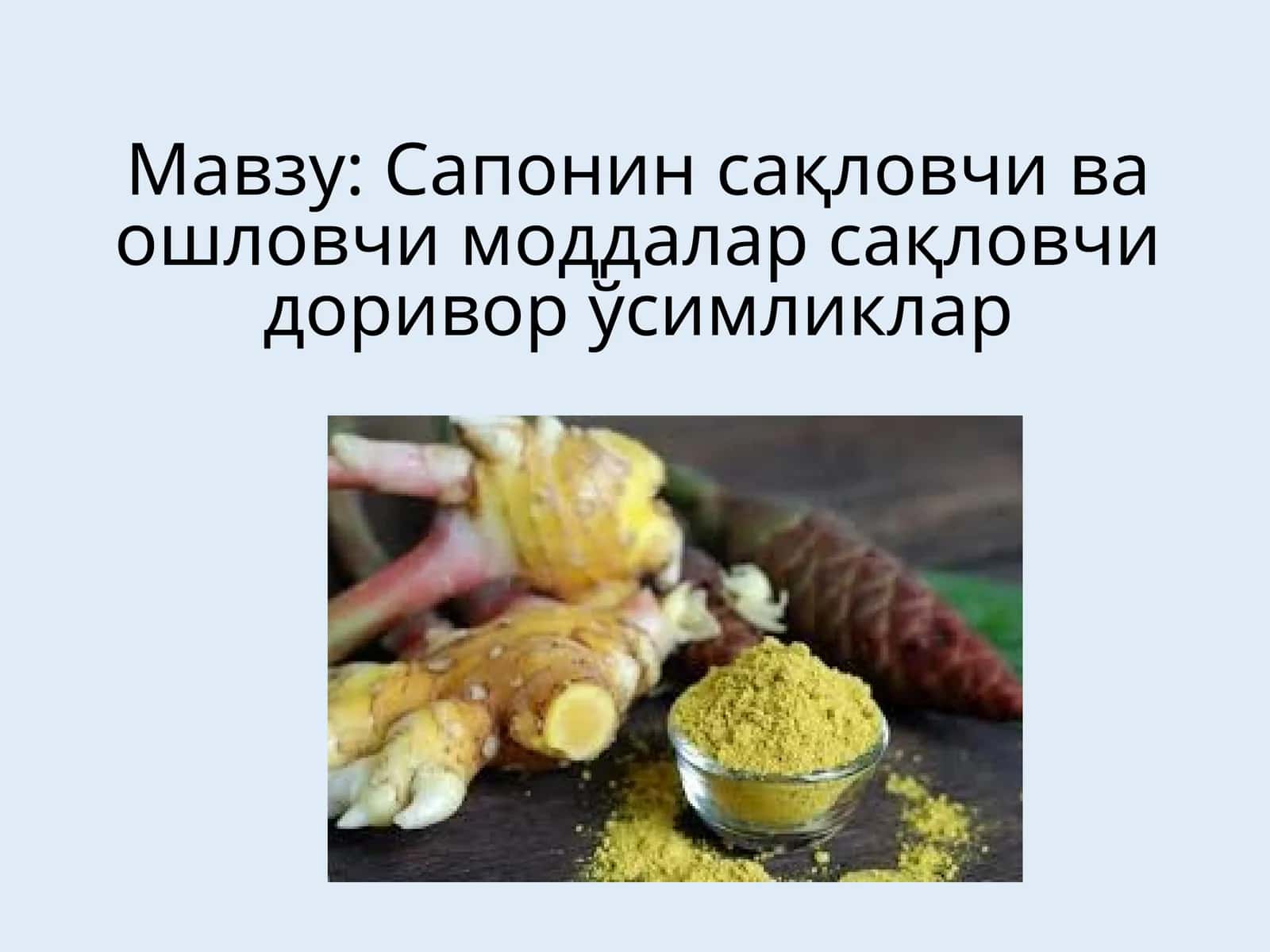 Сапонин сақловчи ва ошловчи моддалар сақловчи доривор ўсимликлар 1