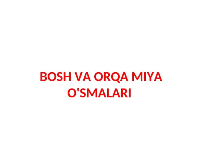BOSH VA ORQA MIYA O'SMALARI 1